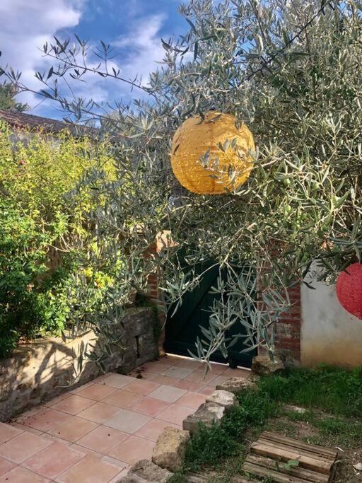 Maison De Village Au Coeur De St Hilaire Hébergement de vacances *